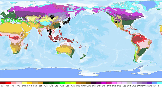 Places in the world where groundwater aeration sound was detected and the climate classification chart